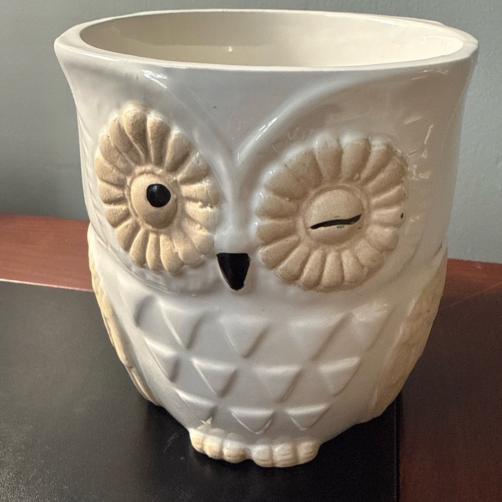 White and Cream Owl Ceramic Planter - Decorative Home Accent